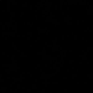 Meet your Posher, Bri